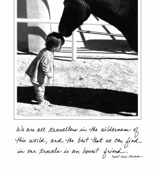 Horse With Baby Bd