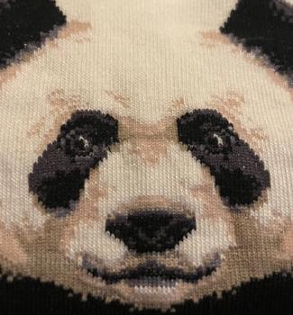 Panda Peds socks for her