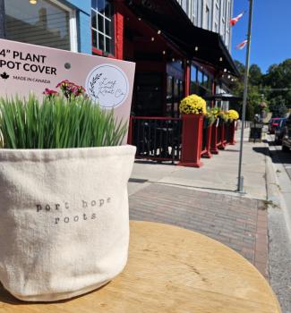 Port Hope Roots