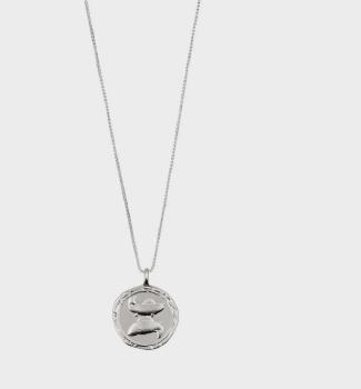 Pisces Horoscope Necklace Silver Plated Crystal